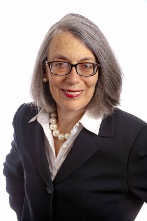 Why You Should Go To Tonight's Town Hall and Not Expect Much Janet Falk has drawn a bead on Roosevelt Island's critical issue.